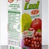 ทิปโก้คูล ฟิต เกรพ มิกซ์ น้ำองุ่นผสมน้ำผลไม้รวม 40% tipco cool fit grape mix juice