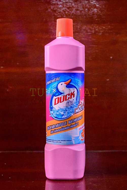 เป็ด มิสเตอร์มัสเซิล ห้องน้ำ 1