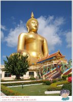 วัดม่วง อ่างทอง