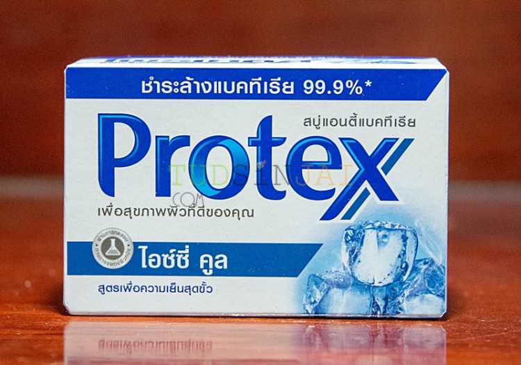 โพรเทคส์