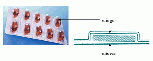 แผงบริสเตอร์