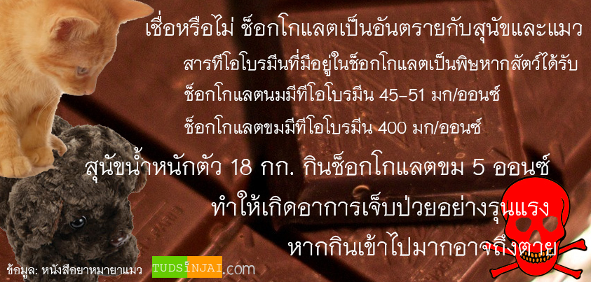 ช็อกโกแลตเป็นอันตรายกับสุขนัขและแมว